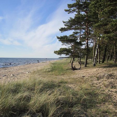 Tahkuna Forest House Kõrgessaare المظهر الخارجي الصورة