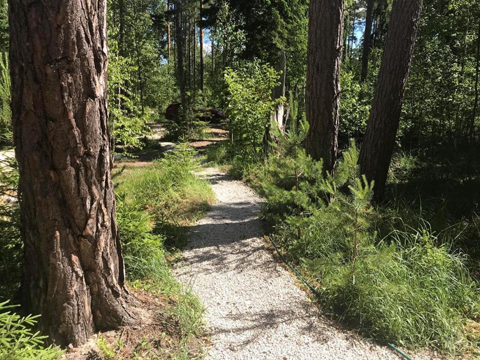 Tahkuna Forest House Kõrgessaare المظهر الخارجي الصورة